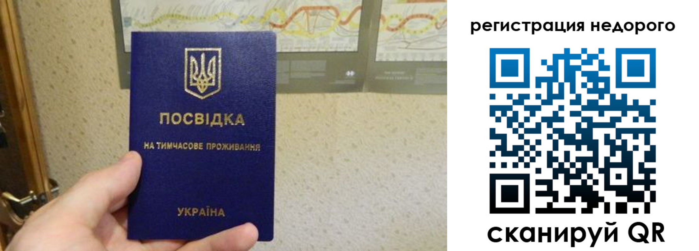 прописка для работы в Звенигово