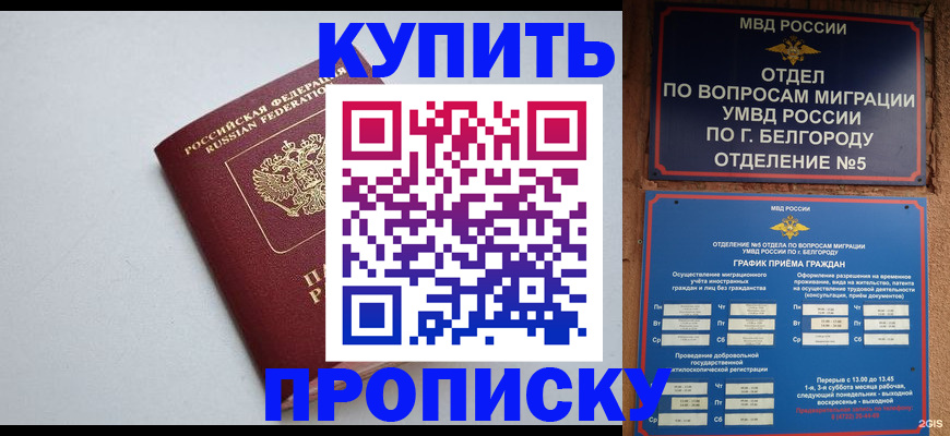 прописка регистрация в Звенигово